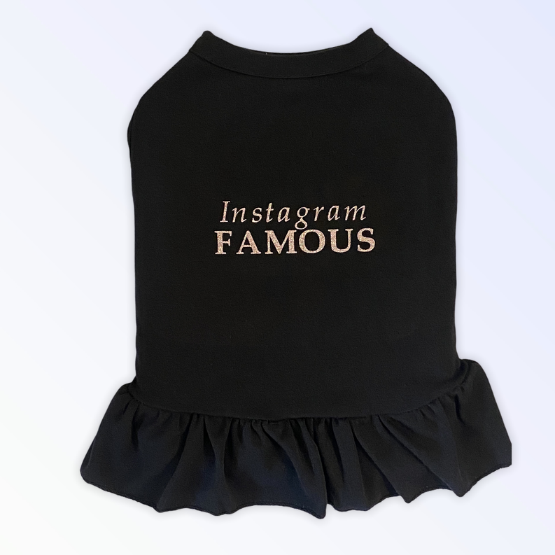 IG Famous Pet  Dress